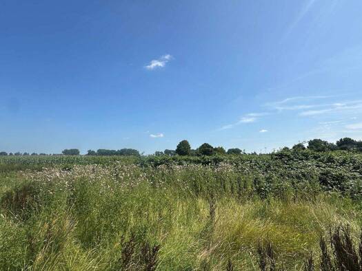 Grundstück zum Kauf 206.960 € 796 m² Grundstück Seestermühe 25371