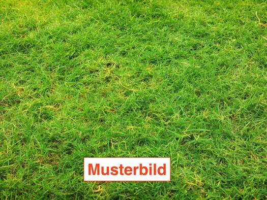 Grundstück zum Kauf 405.000 € 397 m² Grundstück Rüsselsheim Rüsselsheim am Main 65428