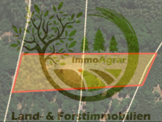 Land-/Forstwirtschaft zum Kauf 25.000 € 11.569 m² 11.569 m² Grundstück Wald-Michelbach 69483