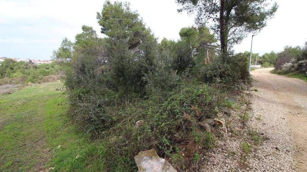 Land-/Forstwirtschaft zum Kauf 92.640 € Vir