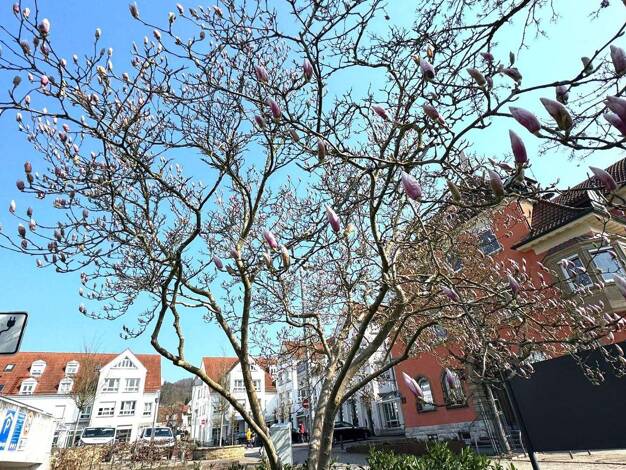 Maisonette zum Kauf 299.000 € 4,5 Zimmer 101 m² 1. Geschoss Plüderhausen 73655