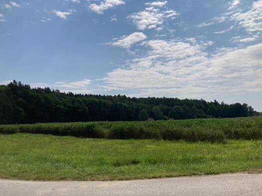 Grundstück zum Kauf 73.500 € 980 m² Grundstück Bad Blumau 8283