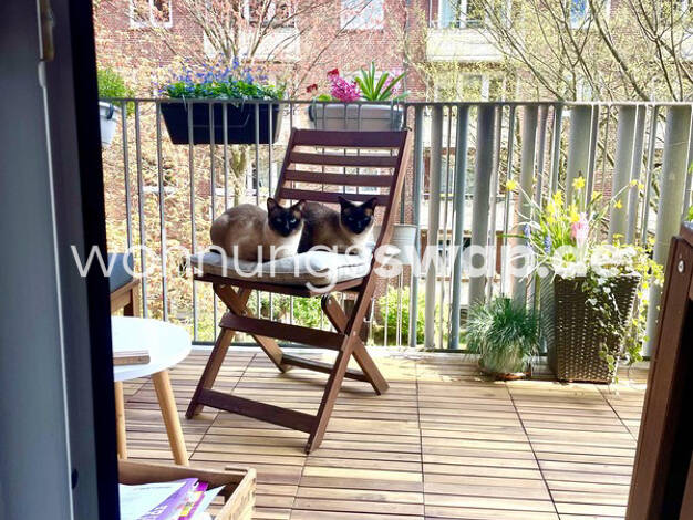 Studio zur Miete Tauschwohnung 520 € 2 Zimmer 47 m² 2. Geschoss Hamm Hamburg 20535