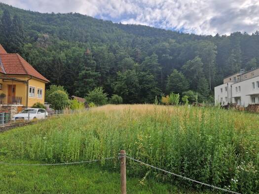 Grundstück zum Kauf 115.000 € 2.777 m² Grundstück Senftenberg 3541