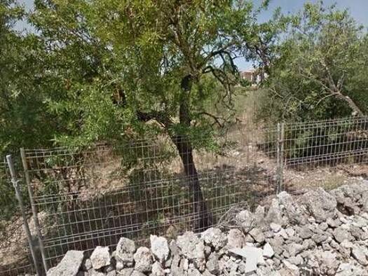 Wohn- und Gewerbegrundstück zum Kauf 820.000 € Calle De La Lluna Marratxí 07141