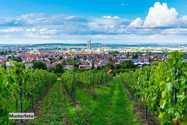 Weingut zum Kauf, Klüsserath