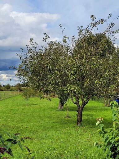 Grundstück zum Kauf 195.000 € 1.634 m² Grundstück Hugsweier Lahr/Schwarzwald 77933