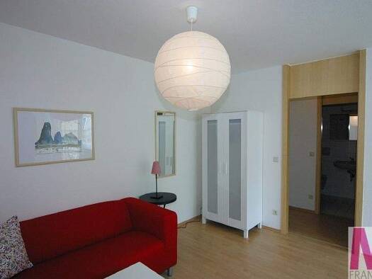 Studio zur Miete Wohnen auf Zeit 690 € 1 Zimmer 30 m² frei ab sofort St Peter Nürnberg 90478