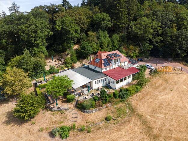 Restaurant zum Kauf 2.100.000 € 290 m² Gastrofläche 8.758 m² Grundstück Altstadt Mitte 79104