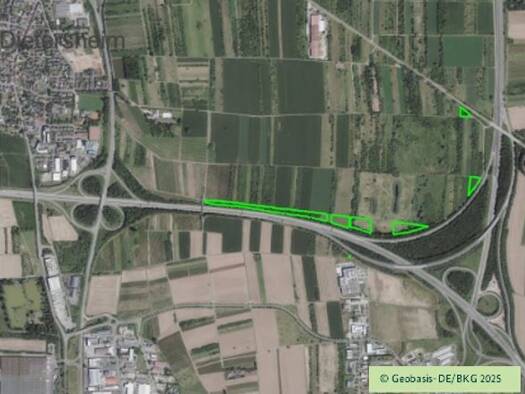 Land-/Forstwirtschaft zum Kauf 29.869 m² Grundstück Sponsheim Bingen am Rhein 55411