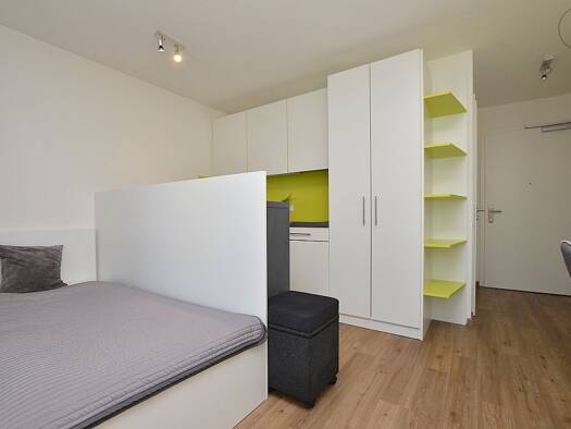 Wohnung zur Miete Wohnen auf Zeit 695 € 1 Zimmer 22 m² frei ab sofort Frauenland Würzburg 97074