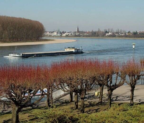 Stellplatz zur Miete - Ansicht 3