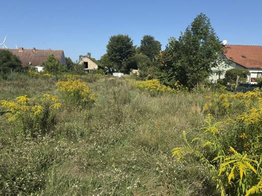 Grundstück zum Kauf 78.000 € 4.330 m² Grundstück Gartenstraße 1 Dolgelin Lindendorf 15306