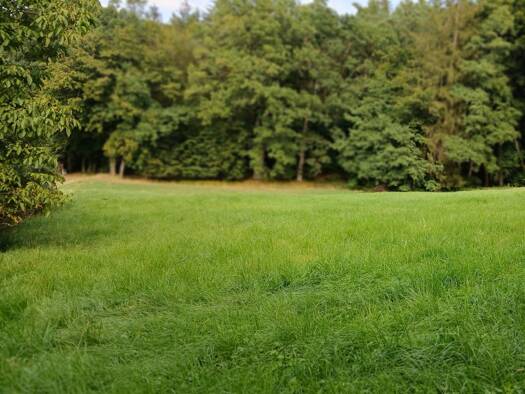 Grundstück zum Kauf provisionsfrei 60.000 € 6.181 m² Grundstück frei ab sofort Leinburg Leinburg 91227