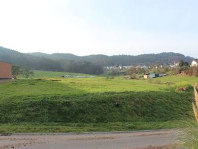 Grundstück zum Kauf 130.000 € 970 m² Grundstück Schankweiler 54668