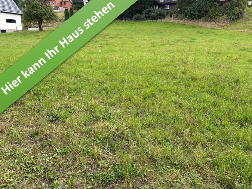 Einfamilienhaus zum Kauf - Erstbezug - Ansicht 2