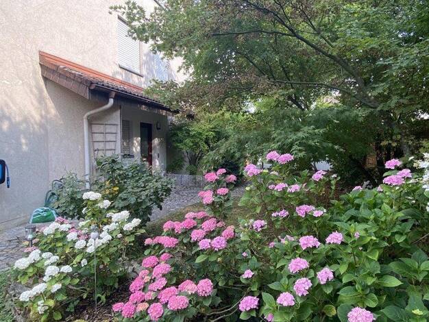 Doppelhaushälfte zum Kauf provisionsfrei 598.000 € 5 Zimmer 143 m² 398 m² Grundstück Haltingen Weil am Rhein 79576