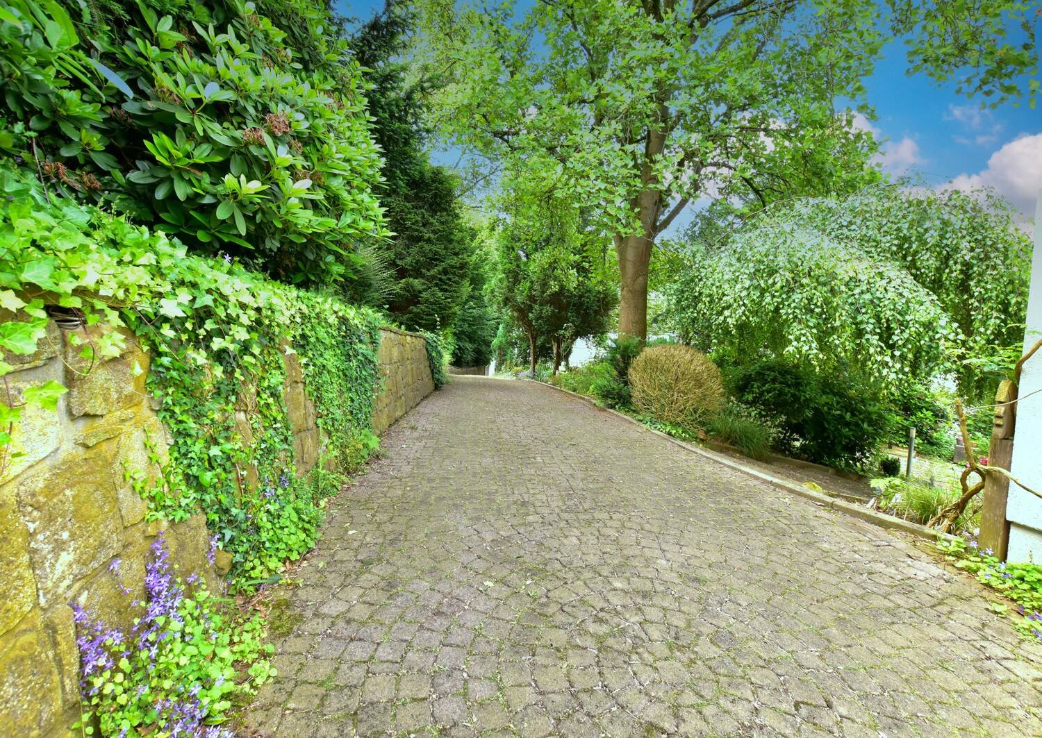 Property thumbnail 19