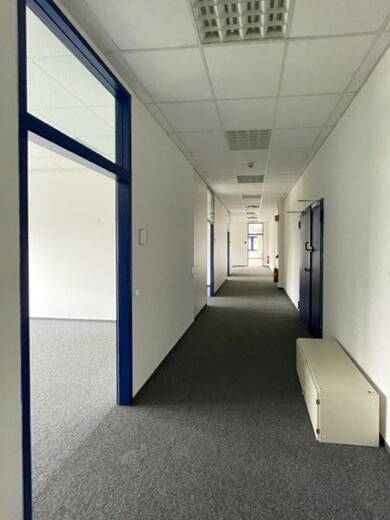 Büro-/Praxisfläche zur Miete provisionsfrei 9,50 € 315 m² Bürofläche teilbar ab 58 m² Opelstraße 1 Rot St. Leon-Rot 68789