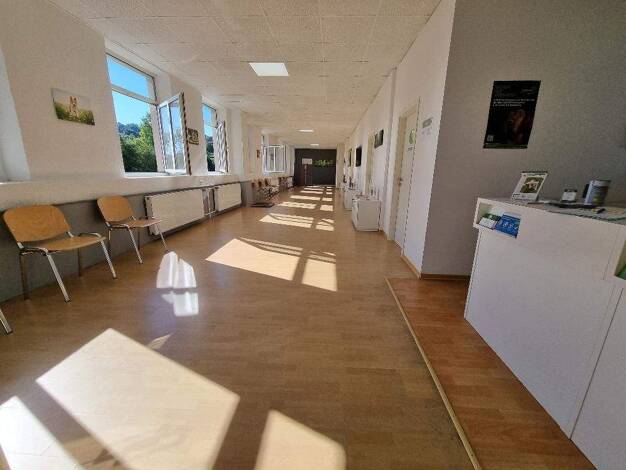 Wohnung zur Miete 1.476 € 6 Zimmer 328 m² Waldfischbach-Burgalben 67714