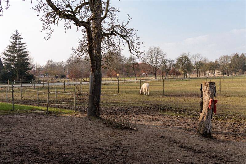Immobilie in Amt Neuhaus - Großzügiges Anwesen mit Pferdehaltung, Ferienwohnung, Bauplätzen und vielfältigem Nutzungskonze - Bild 3