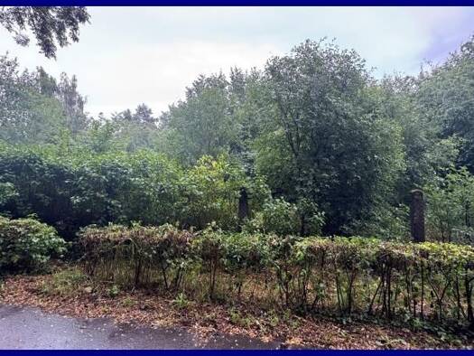 Grundstück zum Kauf 420.000 € 4.768 m² Grundstück Kremmen 16766