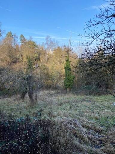 Freizeitgrundstück zum Kauf 129.000 € 1.800 m² Grundstück Panzerleite Bamberg Bamberg 96049