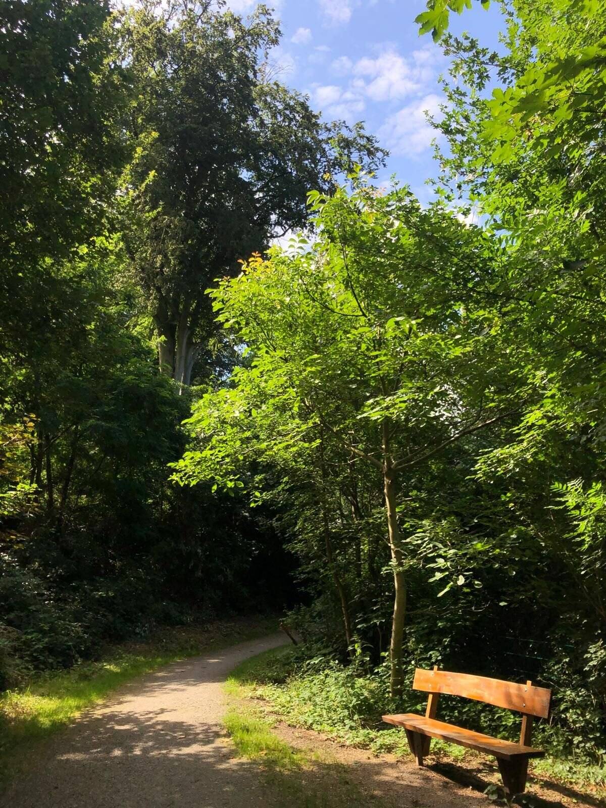 Property thumbnail 20