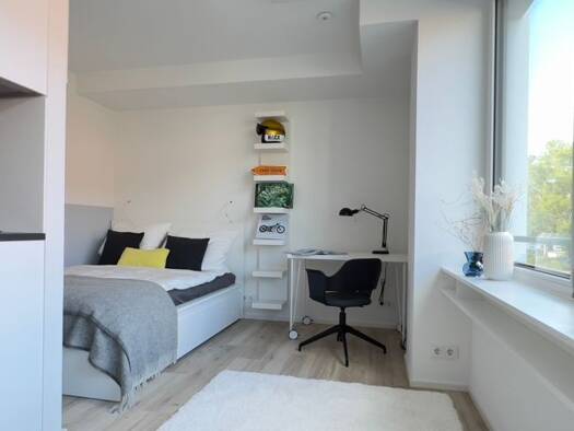 Wohnung zur Miete 980 € 1 Zimmer 25,2 m² 2. Geschoss frei ab 15.10.2026 Altstadt Mitte 79098