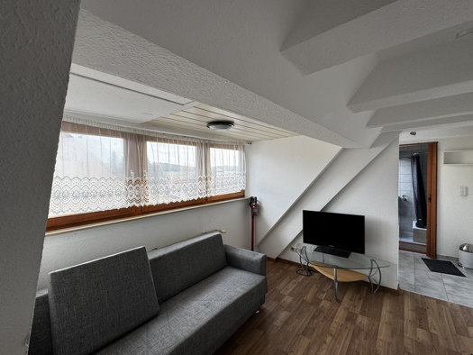 Studio zum Kauf 55.000 € 1 Zimmer 20 m² 2. Geschoss Wartenbergstraße 8 Unterbaldingen Bad Dürrheim 78073