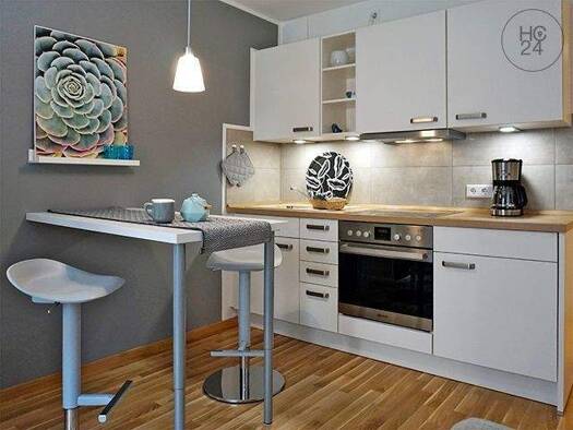 Studio zur Miete Wohnen auf Zeit 700 € 1 Zimmer 20 m² frei ab 01.05.2026 Reudnitz-Thonberg Leipzig 04317