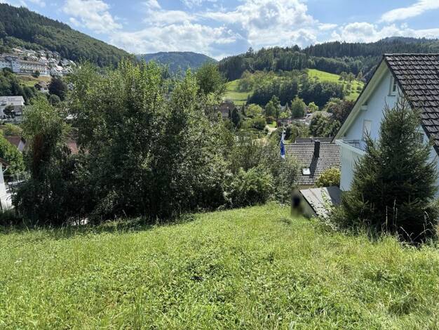 Grundstück zum Kauf 139.000 € 1.160 m² Grundstück frei ab sofort Ottenhöfen 77883