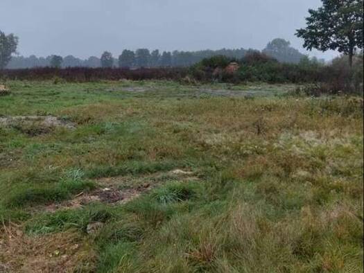 Grundstück zum Kauf provisionsfrei 599.000 € 2.150 m² Grundstück Scharmbeck Winsen (Luhe) 21423