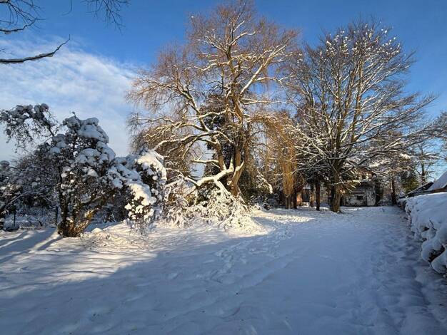 Grundstück zum Kauf 225.000 € Börnsen 21039
