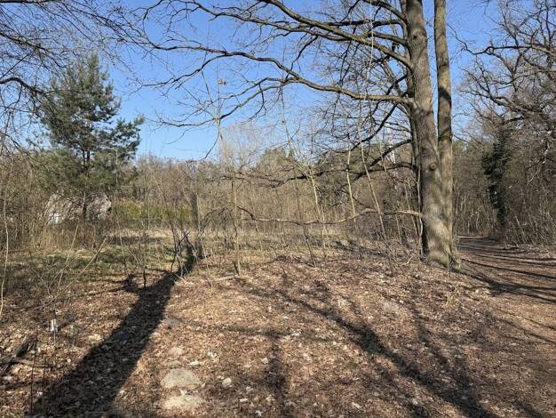 Grundstück zum Kauf provisionsfrei 375.000 € 1.250 m² Grundstück Brieselang 14656