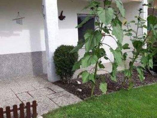 Wohnung zur Miete 650 € 3 Zimmer 66 m² EG frei ab sofort Faust- von Stromberg- Str. Dechsendorf Erlangen 91056