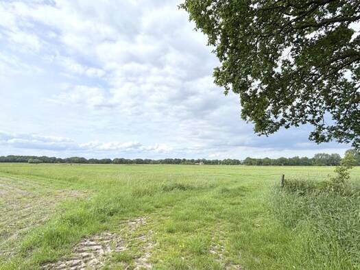 Land-/Forstwirtschaft zum Kauf 86.500 € 24.629 m² Grundstück Hollwege Westerstede 26655