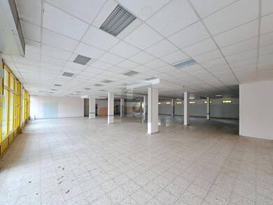 Laden zur Miete 4.000 € 3 Zimmer Emmering Emmering 82275
