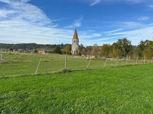 Grundstück zum Kauf 139.000 € 1.000 m² Grundstück Kirchrimbach Burghaslach 96152
