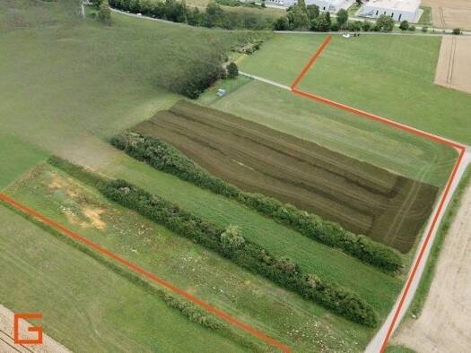 Grundstück zum Kauf 123.860 € 563 m² Grundstück frei ab 31.12.2026 Seedorf Dunningen , Württ 78655