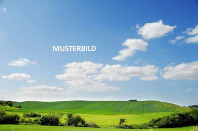Land-/Forstwirtschaft zum Kauf 76.043 m² Grundstück Bächingen 89431