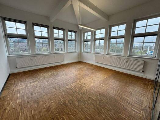 Bürofläche zur Miete provisionsfrei 16,50 € 173 m² Bürofläche Hamm Hamburg 20537