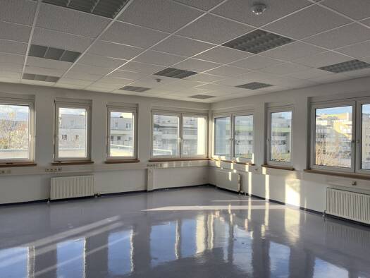 Bürofläche zur Miete 10,50 € 209,8 m² Bürofläche Wiener Neudorf 2351