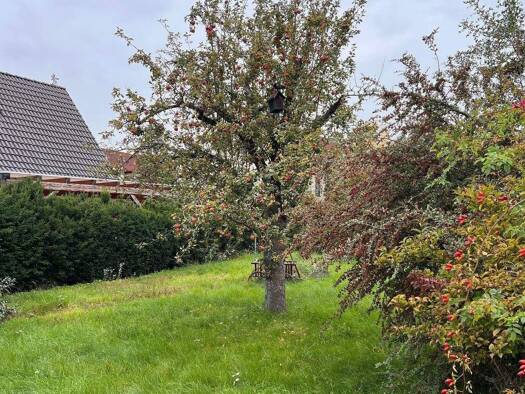 Einfamilienhaus zum Kauf 750.000 € 5 Zimmer 180 m² 640 m² Grundstück Alterlangen Erlangen 91056