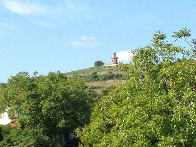 Wohnung zum Kauf provisionsfrei 259.800 € 3,5 Zimmer 88 m² 2. Geschoss Otto-Schmitt-Groß-Str. 4 Bad Dürkheim 67098