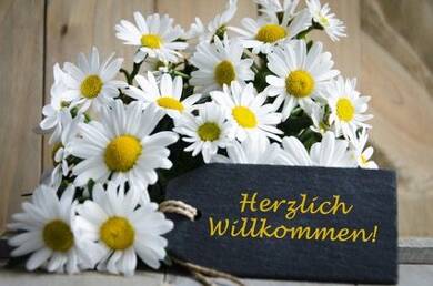 Wohnung zur Miete 459 € 2 Zimmer 54 m² EG Datteln Datteln 45711