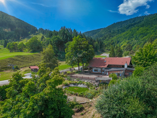 Mehrfamilienhaus zum Kauf 1.400.000 € 15 Zimmer 560 m² 2.934 m² Grundstück Unterammergau Unterammergau 82497