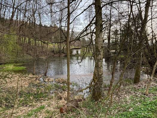 Bauernhaus zum Kauf provisionsfrei 560.000 € 8 Zimmer 208 m² 8.055 m² Grundstück Leuzenberg Reichenschwand 91244