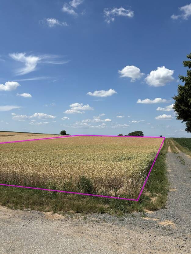 Land-/Forstwirtschaft zum Kauf als Kapitalanlage geeignet 35.123 € 7.805 m² Grundstück Radheim Schaafheim 64850