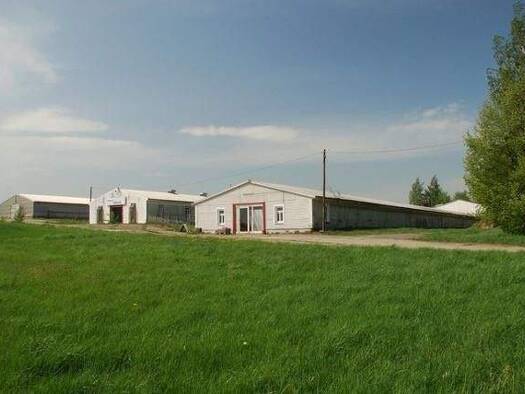 Lagerhalle zur Miete provisionsfrei 4.000 € 1.000 m² Lagerfläche teilbar ab 1.000 m² Sora Klipphausen 01665